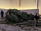 Arbeiten am Weihnachtsbaum in der Petruskirche
