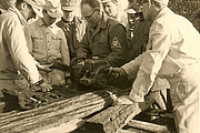 1958 - Ausbildung Kettensäge