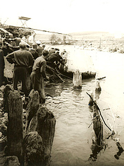 1962 - Unfall an der Badenburg - Rettung eines DLRG-Rettungsschimmers